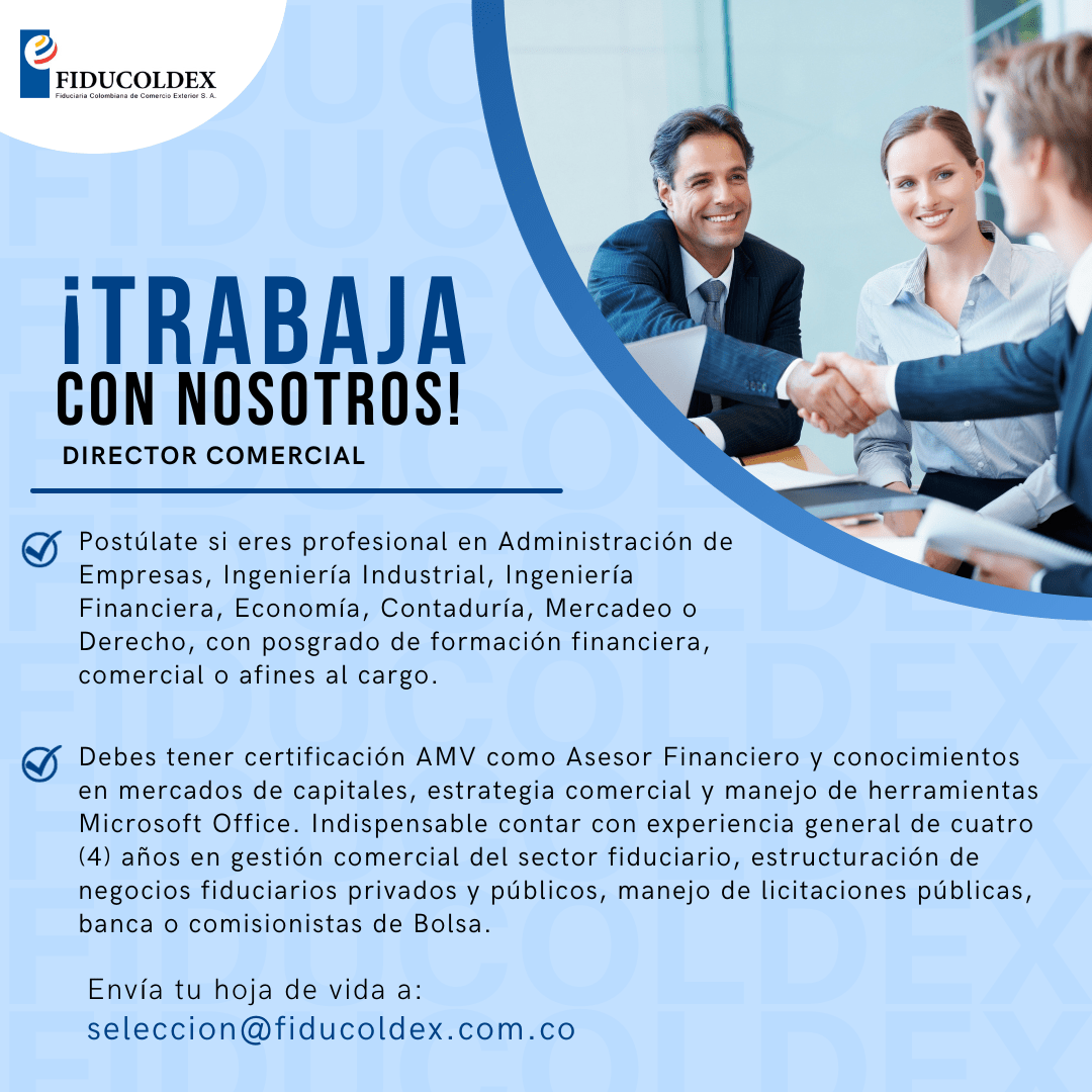 Vacante Director Comercial