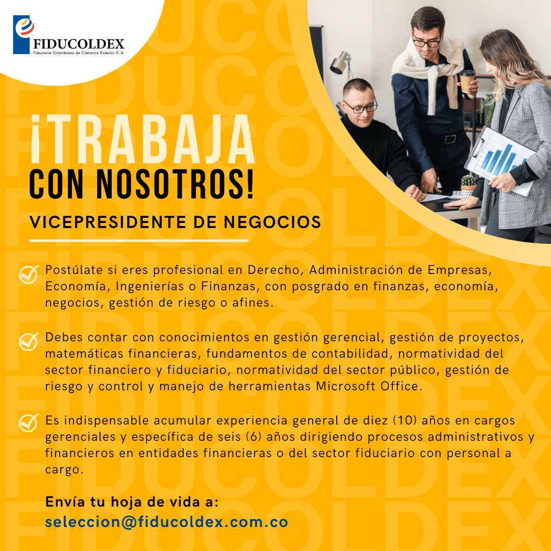 Vacante Vicepresidente de Negocios