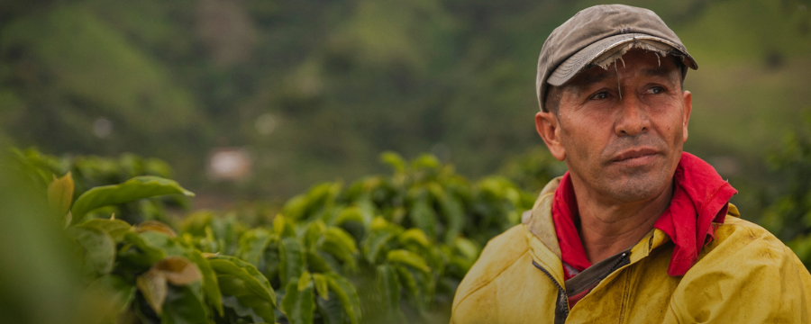 Un año de impacto y transformación desde Fiducoldex Un año de impacto y transformación desde Fiducoldex
